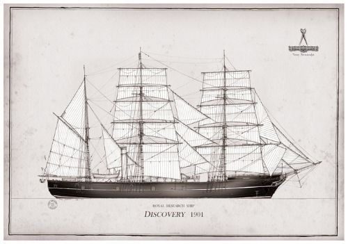 1901 RRS Discovery pen ink study by Tony Fernandes
